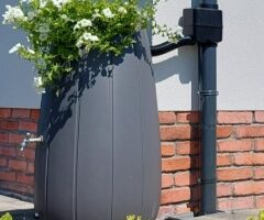 Miniaturka artykułu MAŁOPOLSKA DESZCZÓWKA 2025