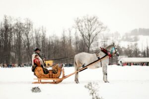 Miniaturka artykułu XXVI Parada Gazdowska w Gminie Biały Dunajec